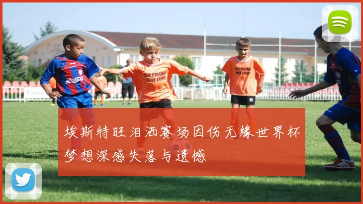 埃斯特旺泪洒赛场因伤无缘世界杯梦想深感失落与遗憾
